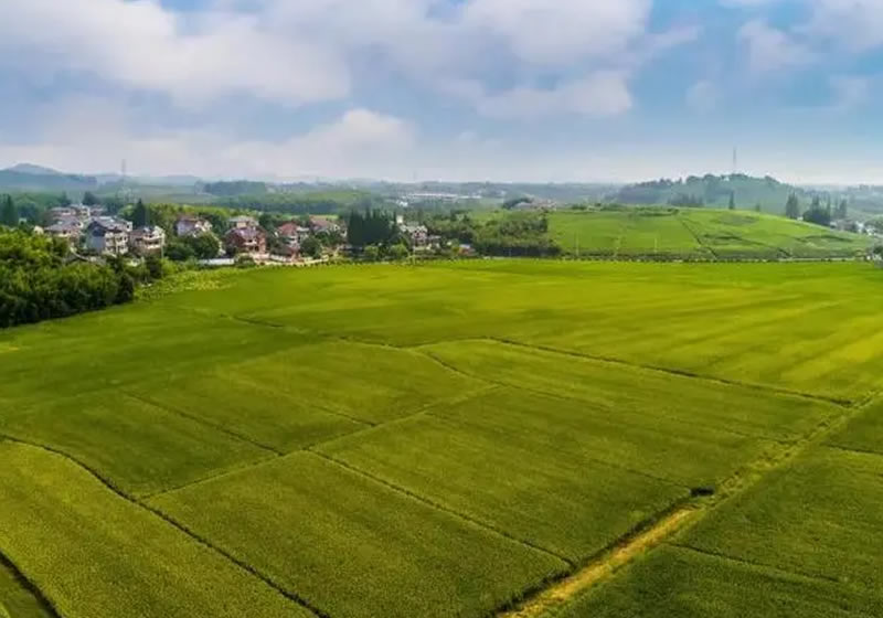 山东土地评估